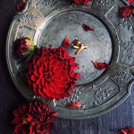 aLORS セレクト【Fusako KOIKE】Panther Ring 予約販売 1月下旬発送予定 - aLORS online store