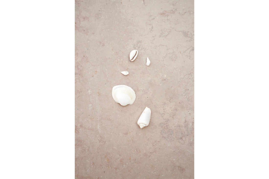 Interview for Aya ーAstra Maris（アストラ・マリス）コレクションに込めた想い。