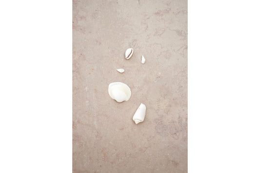 Interview for Aya ーAstra Maris（アストラ・マリス）コレクションに込めた想い。