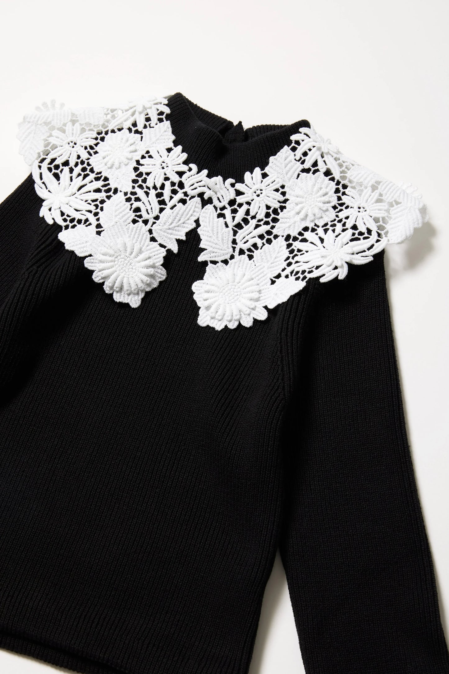 Pull à dentelle 【Alex-アレックス-】 - aLORS online store