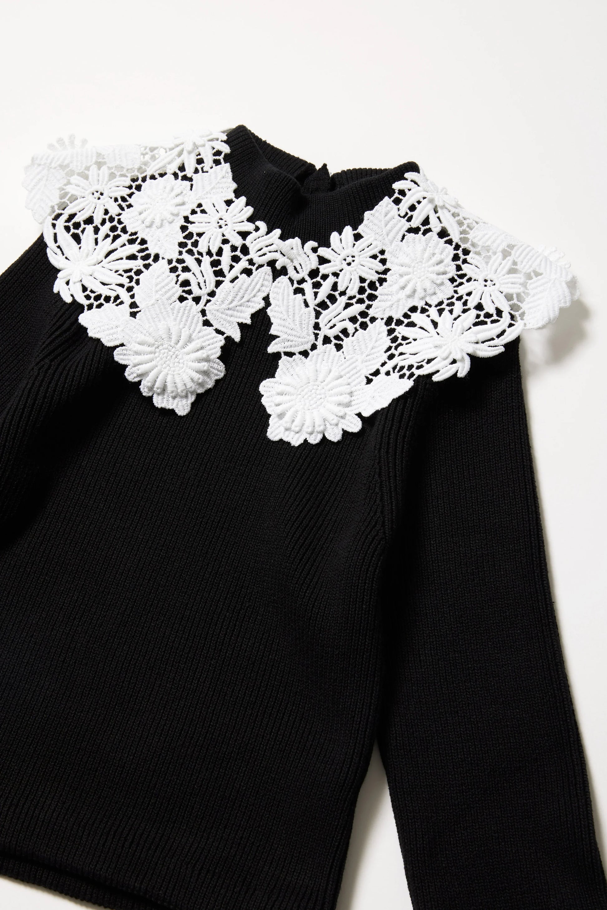 Pull à dentelle 【Alex-アレックス-】 - aLORS online store