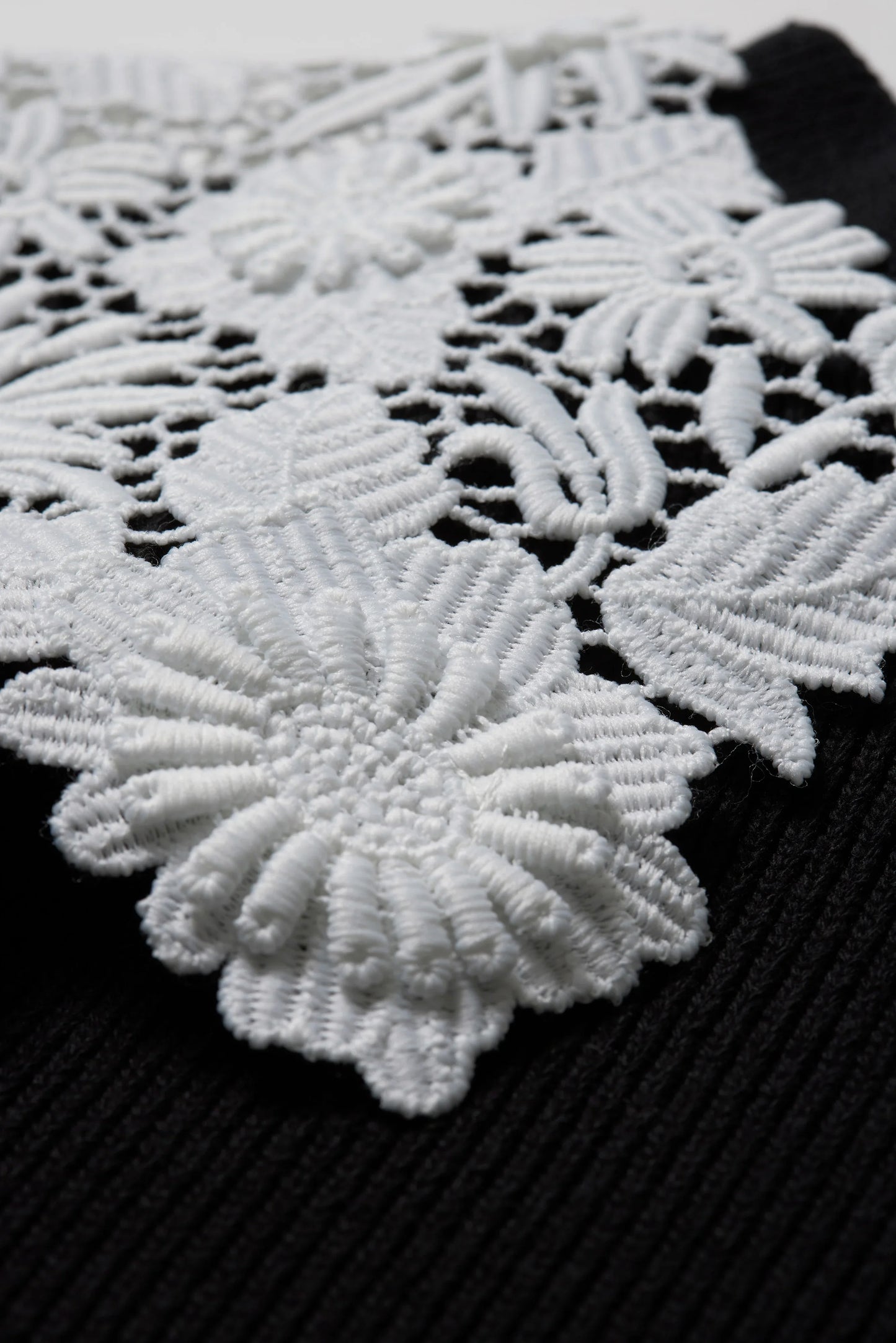 Pull à dentelle 【Alex-アレックス-】 - aLORS online store