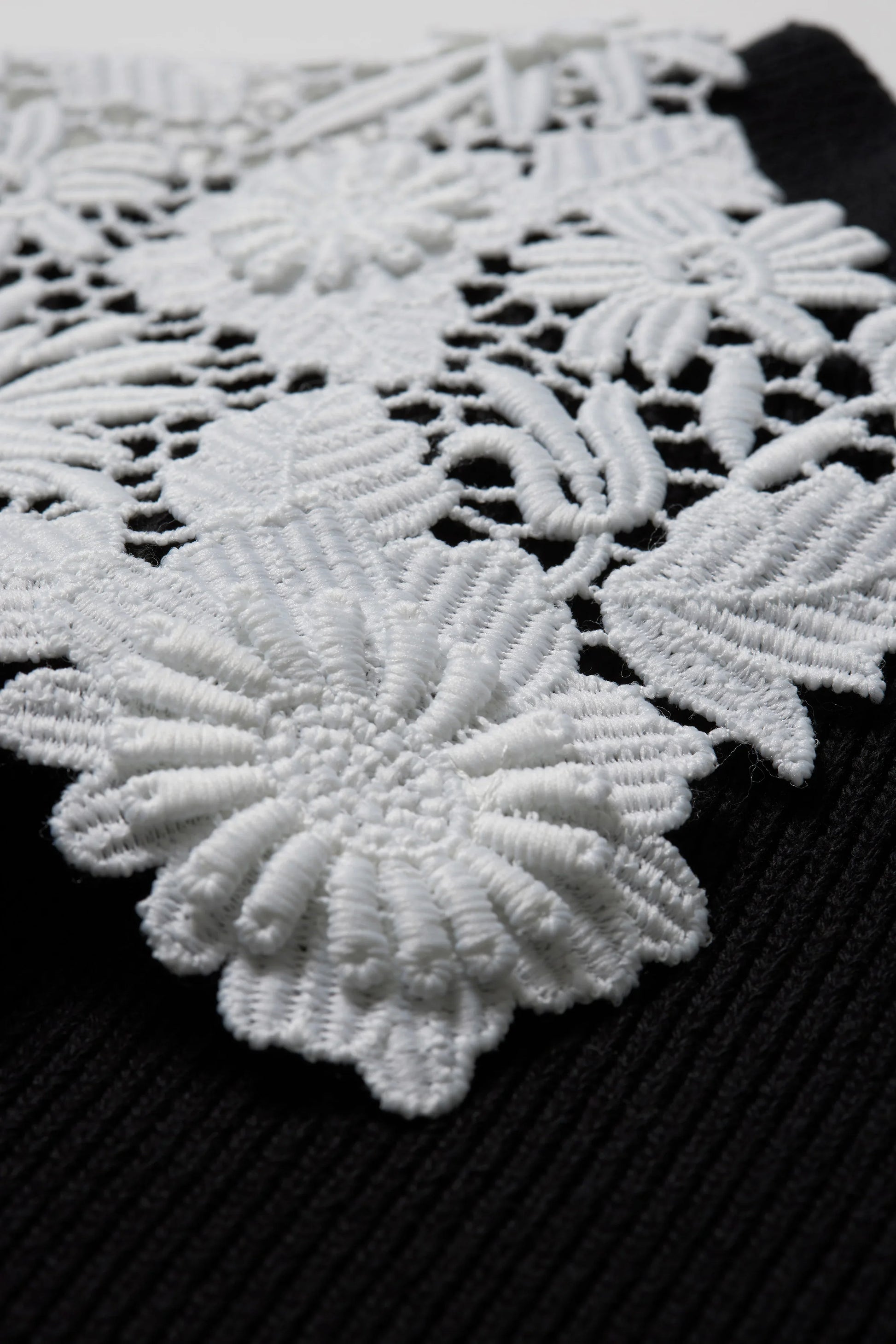 Pull à dentelle 【Alex-アレックス-】 - aLORS online store