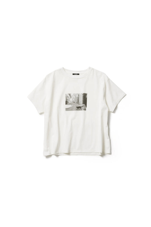 T-shirt à manches courtes【Une vie de chat】 - aLORS online store