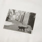T-shirt à manches courtes【Une vie de chat】 - aLORS online store