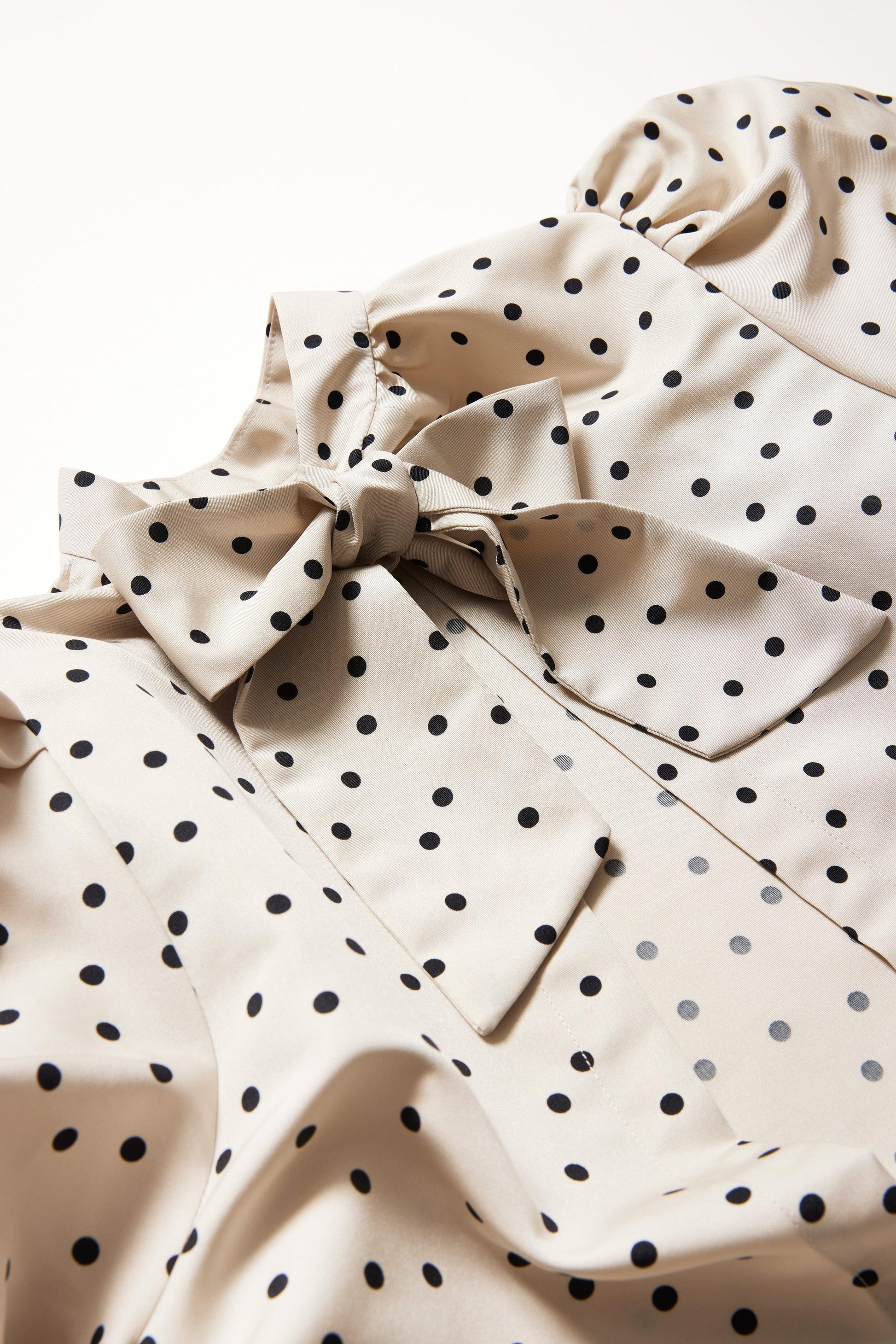 Eva（エヴァ） - aLORS online store