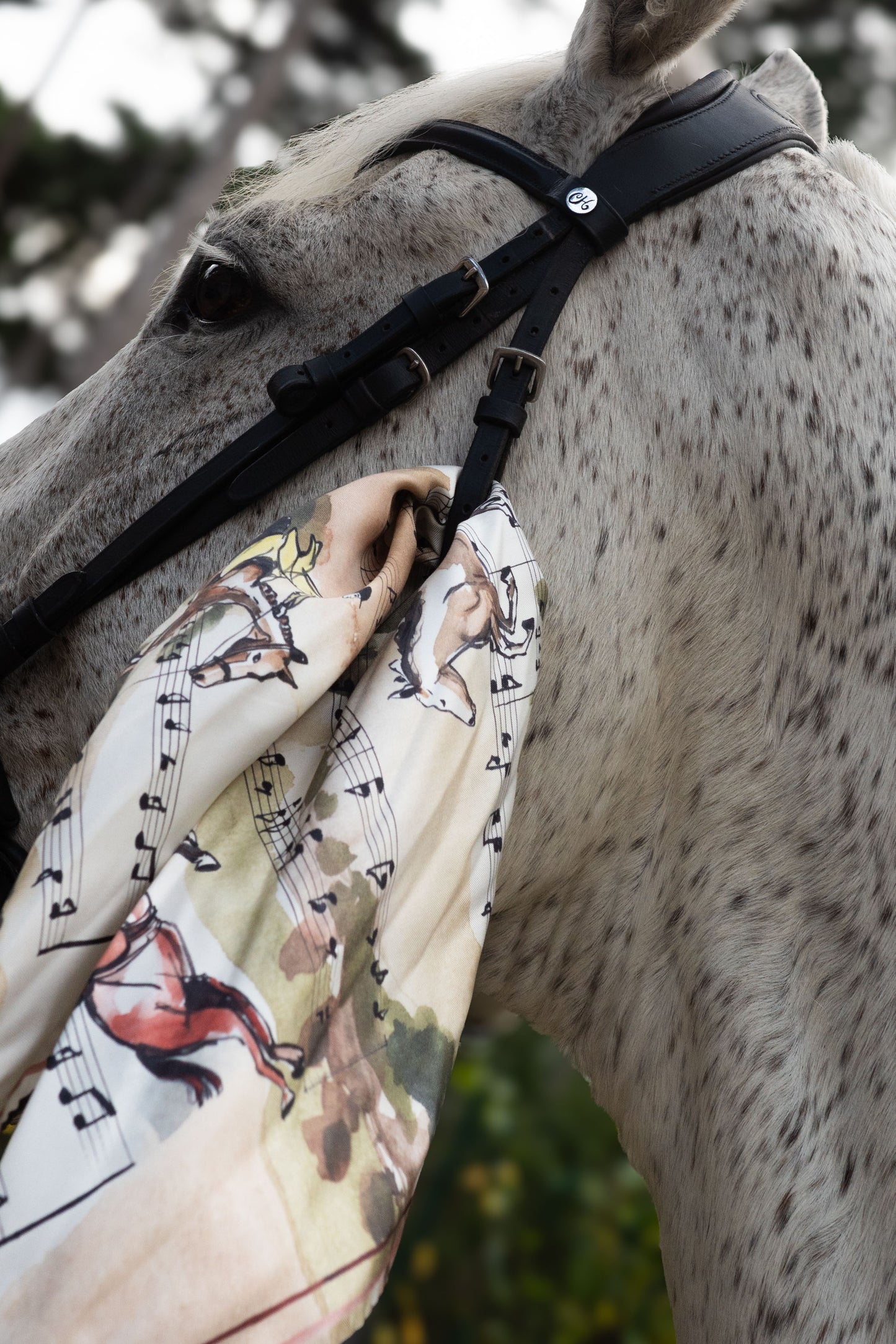 Carré Cavaliers par Katrien Soeffers Cavaliers  Multicolore マルチカラー